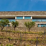 Hotel Gale Douro Vineyards 4*