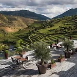 Gale Douro Vineyards