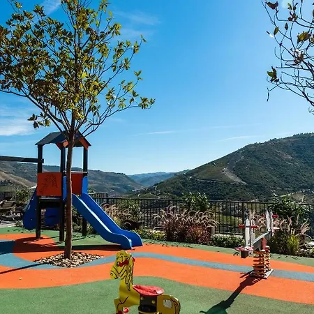 Gale Douro Vineyards Armamar