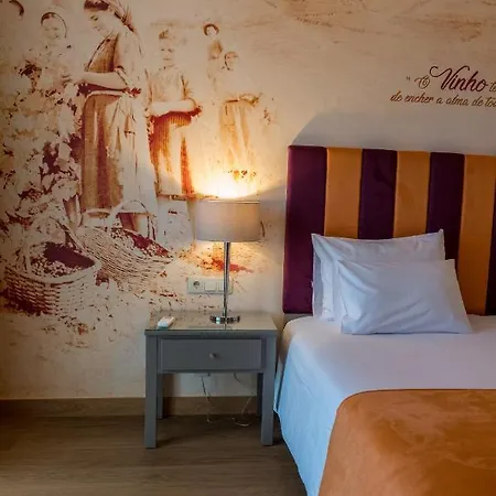 Farm stay Gale Douro Vineyards *
