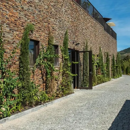 Отель Gale Douro Vineyards 4*