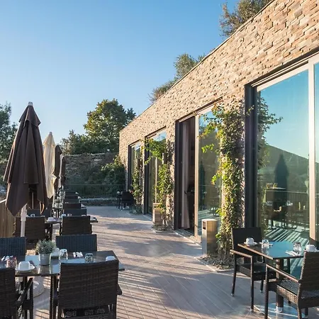 Gale Douro Vineyards Armamar