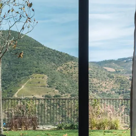 Farm stay Gale Douro Vineyards Armamar