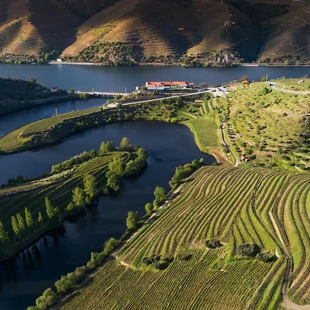 Gale Douro Vineyards