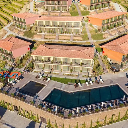 Gale Douro Vineyards Armamar