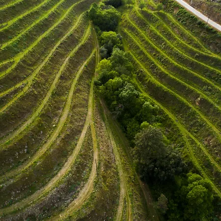 Gale Douro Vineyards Armamar