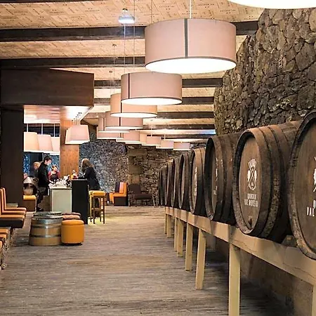 Gale Douro Vineyards 4* ארממר
