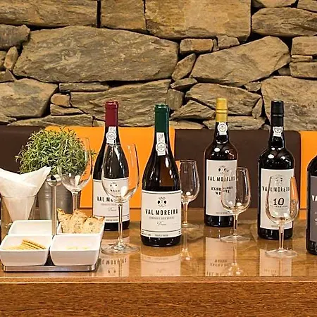 Gale Douro Vineyards מלון