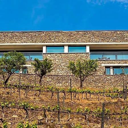 Gale Douro Vineyards מלון