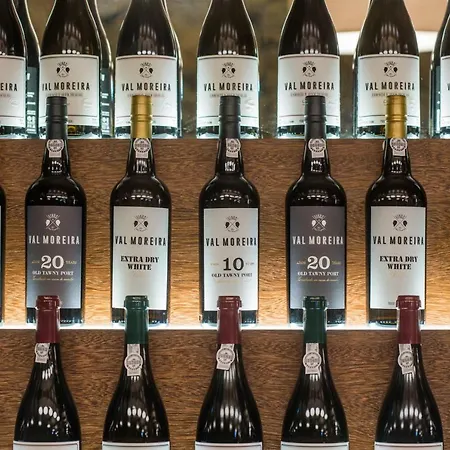 Отель Gale Douro Vineyards