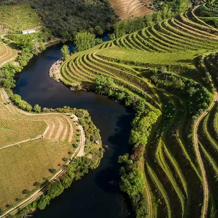 Κατάλυμα σε φάρμα Gale Douro Vineyards Armamar