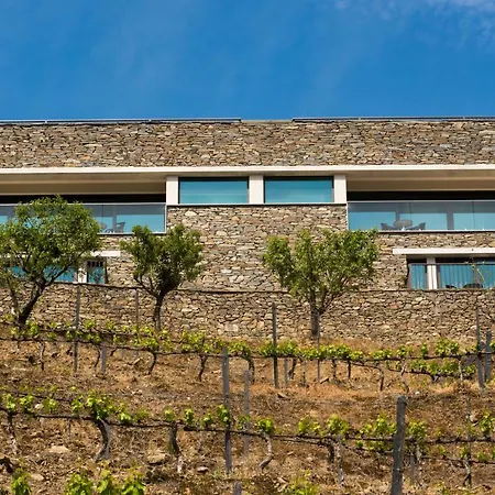 Отель Gale Douro Vineyards 4*