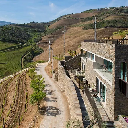 Отель Gale Douro Vineyards