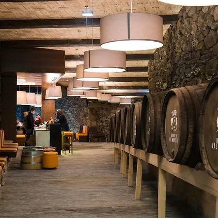 Gale Douro Vineyards Hotel 4*