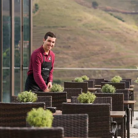 Hotel Gale Douro Vineyards Armamar