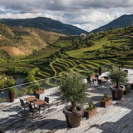 Gale Douro Vineyards