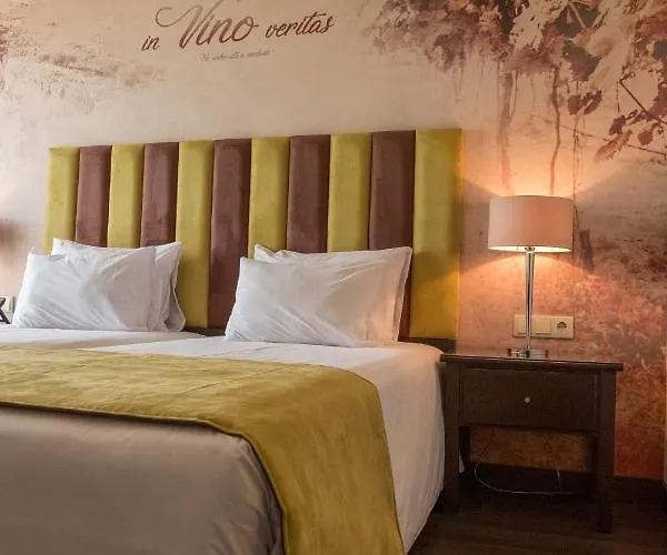 Hotel Gale Douro Vineyards 4*