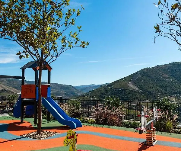 Gale Douro Vineyards Armamar