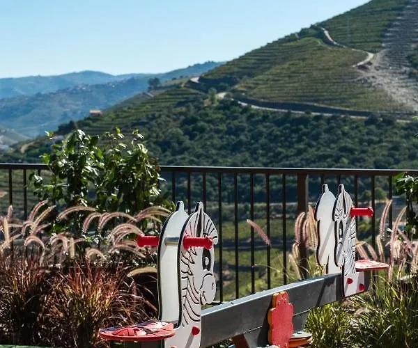 Gale Douro Vineyards Hotel Armamar