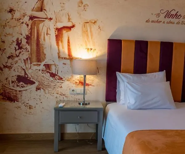 Hotel Gale Douro Vineyards 4*