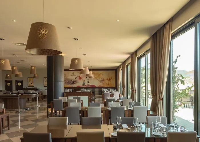 Gale Douro Vineyards