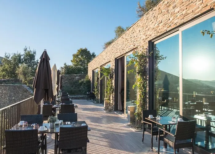 Gale Douro Vineyards 阿尔马尔