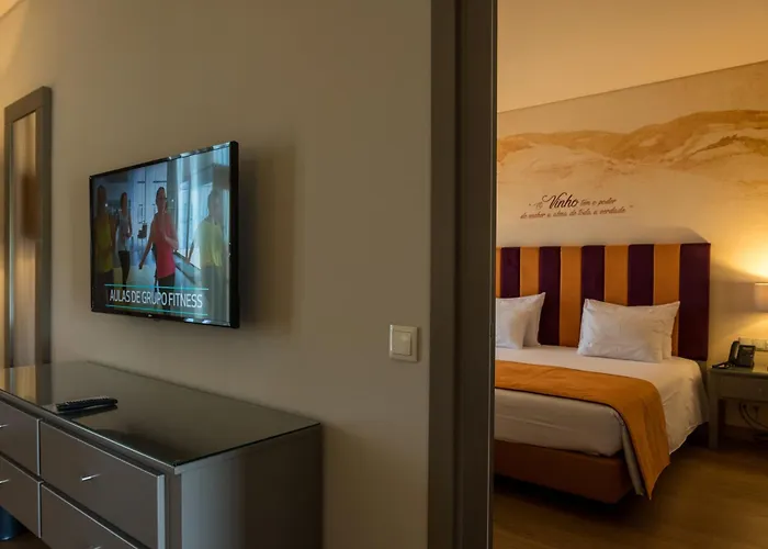 Gale Douro Vineyards Hotel Armamar