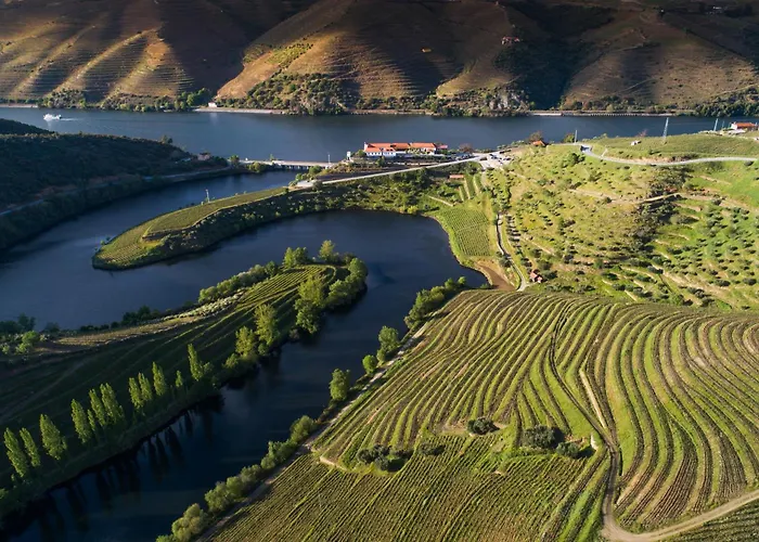 Gale Douro Vineyards