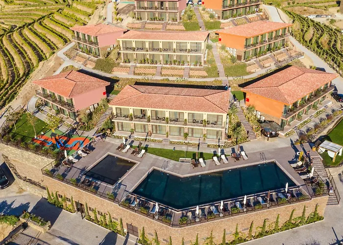 Gale Douro Vineyards Armamar