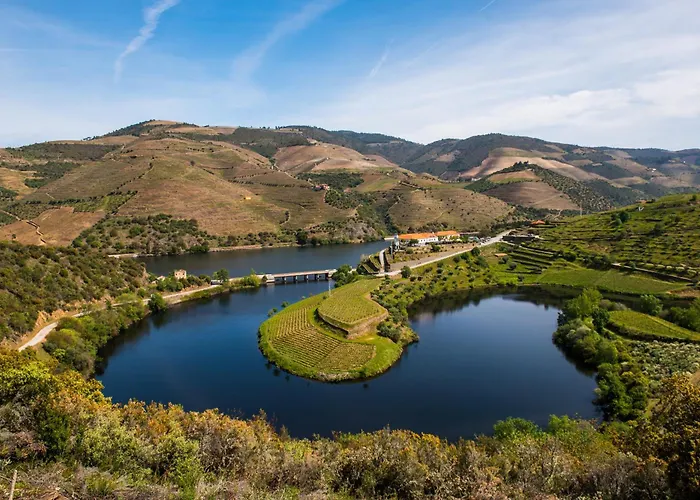 Gale Douro Vineyards
