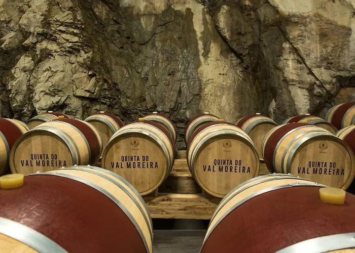 Gale Douro Vineyards