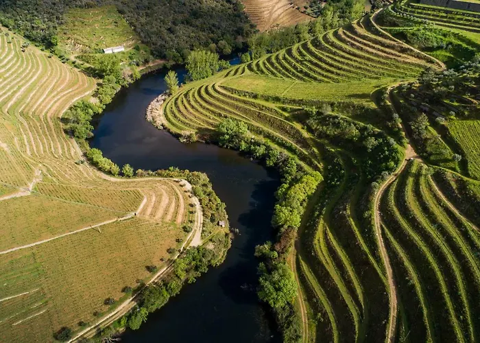 מלון Gale Douro Vineyards ארממר