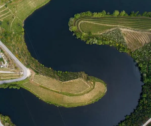 Gale Douro Vineyards מלון