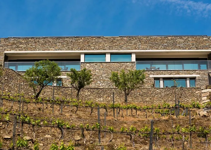 מלון Gale Douro Vineyards 4*