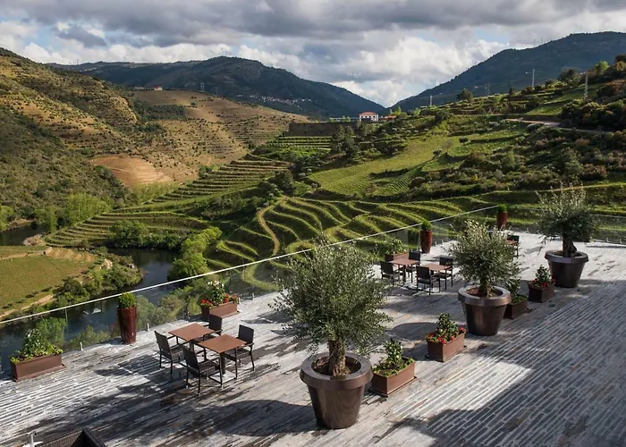 Gale Douro Vineyards
